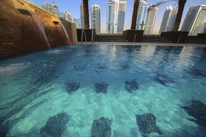 Sukoon Tower Swimming Pool
